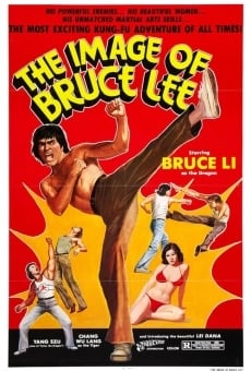 Bruce Lee - Der reißende Puma