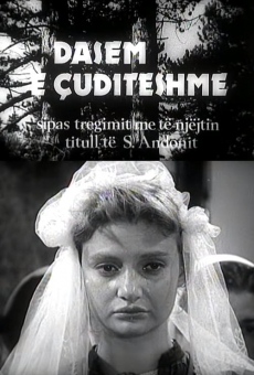 Dasëm e çuditëshme online streaming