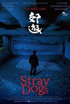 Película: Stray Dogs