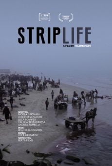 Striplife en ligne gratuit