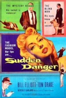 Sudden Danger online free