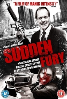 Sudden Fury online