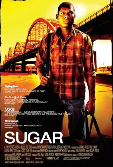 Sugar