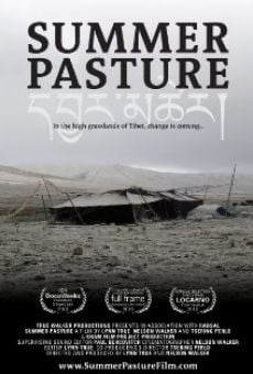 Watch Summer Pasture online stream