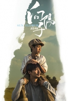 Sun Flower online streaming