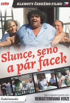 Slunce, seno a pár facek online