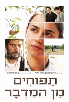 Tapuhim Min HaMidbar streaming en ligne gratuit