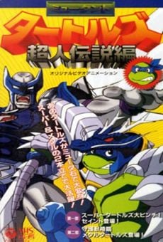 Mutant Turtles: Chôjin densetsu hen online streaming