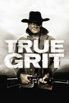 True Grit online kostenlos