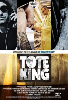 Tengo que volver a casa: The Documentary online kostenlos