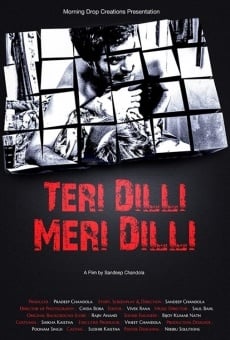Ver película Teri Dilli Meri Dili