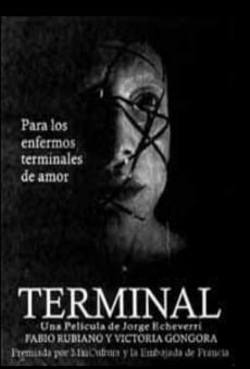 Ver película Terminal