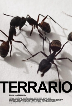 Terrario en ligne gratuit