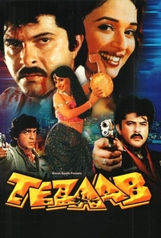 Ver película Tezaab