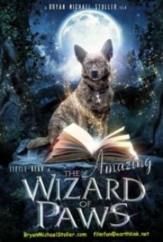 Ver película The Amazing Wizard of Paws