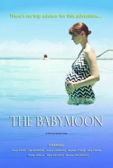 Ver película The Babymoon