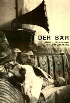 Der Bär online streaming