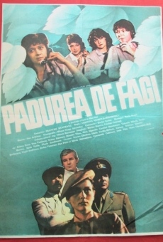 Padurea de fagi