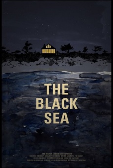 The Black Sea online