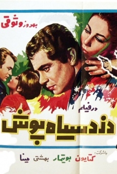 Dozde-siyahpoush online streaming