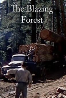 The Blazing Forest online kostenlos