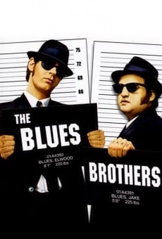 The Blues Brothers online kostenlos