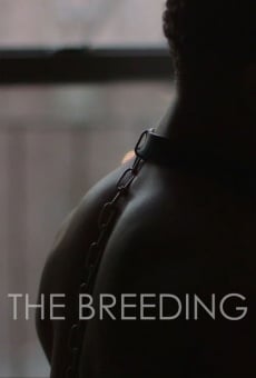 The Breeding stream online deutsch