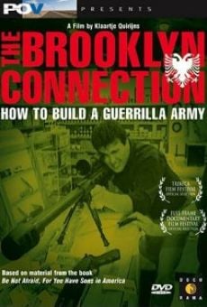 The Brooklyn Connection online