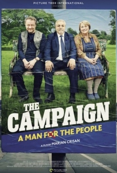 Ver película The Campaign