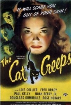 The Cat Creeps