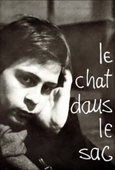 Le chat dans le sac online streaming