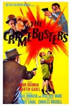 The Crimebusters streaming en ligne gratuit