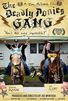 Ver película The Deadly Ponies Gang