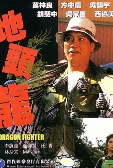 The Dragon Fighter en ligne gratuit