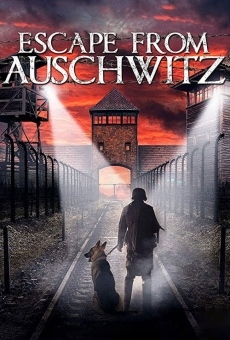 Ver película Escape from Auschwitz