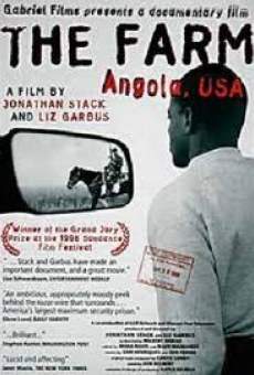 Ver película The Farm: Angola, USA