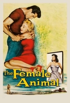 The Female Animal en ligne gratuit