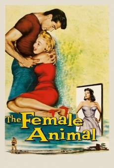 The Female Animal stream online deutsch