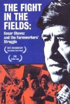 The Fight in the Fields