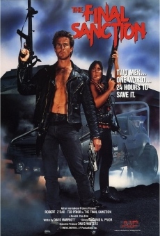 The Final Sanction online streaming