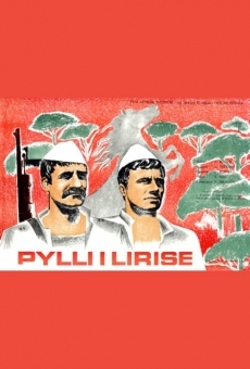 Pylli i lirisë on-line gratuito