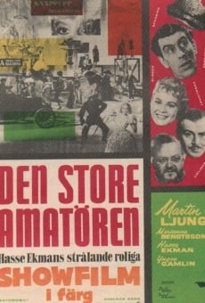 Watch Den store amatören online stream