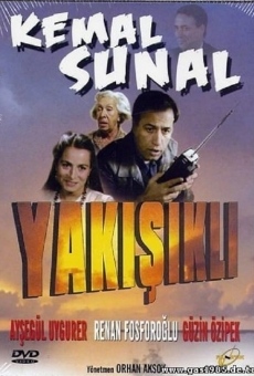 The Handsome online streaming
