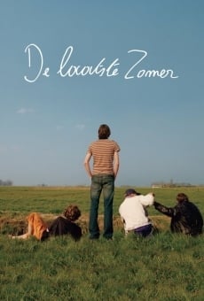 De laatste zomer online