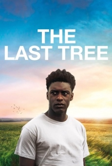 The Last Tree online kostenlos