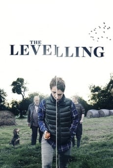 The Levelling online free