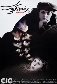 Ver película The Little Bird Boy