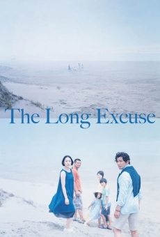 Ver película The Long Excuse