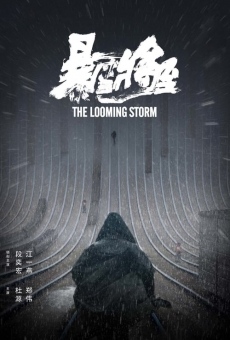 Ver película The Looming Storm