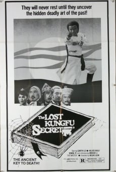 Ver película The Lost Kung Fu Secrets